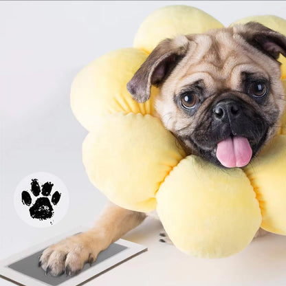 🔥Buy Two Get One Free - 3pcs⭐Pet Paw Print Kit for Dogs & Cats Keepsake Memories