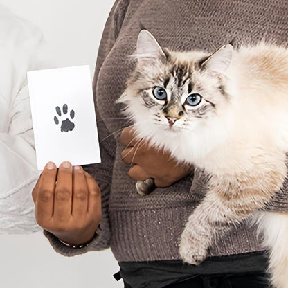 🔥Buy Two Get One Free - 3pcs⭐Pet Paw Print Kit for Dogs & Cats Keepsake Memories