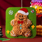 🎄Christmas Comes Early 49% OFF🎅DIY Christmas Embroidery Kit🎁