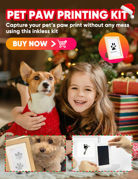 🔥Buy Two Get One Free - 3pcs⭐Pet Paw Print Kit for Dogs & Cats Keepsake Memories