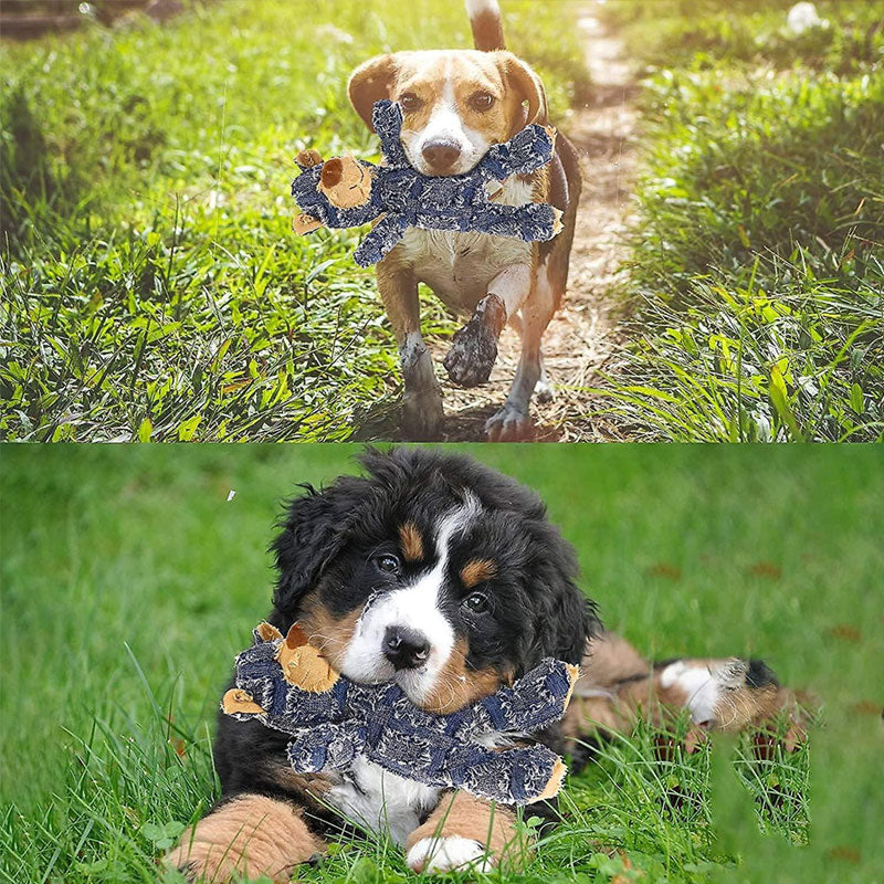 🔥2025 NEW Robust Bear For Heavy Chewers