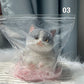 🎁Best Gift😻Cute Soft Cat Plush Toy – Adorable Cuddly Stuffed Animal for Kids & Cat Lovers