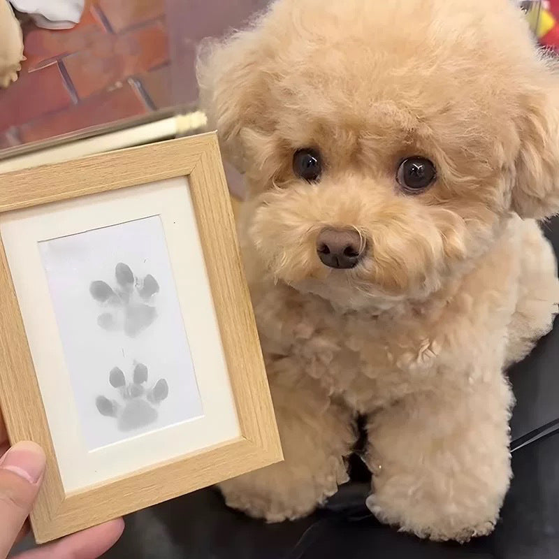 🔥Buy Two Get One Free - 3pcs⭐Pet Paw Print Kit for Dogs & Cats Keepsake Memories