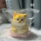 🎁Best Gift😻Cute Soft Cat Plush Toy – Adorable Cuddly Stuffed Animal for Kids & Cat Lovers