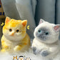 🎁Best Gift😻Cute Soft Cat Plush Toy – Adorable Cuddly Stuffed Animal for Kids & Cat Lovers