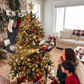 🚂Xmas Sale - 50% OFF🎅 Christmas Tree Train Set – Light-Up Festive Train with Santa & Magical Steam Effects