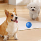 💥New Year Sale - BUY 1 GET 1 FREE!🐶Automatic Smart Teasing Dog Ball That Can't be Bitten