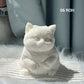 🎁Best Gift😻Cute Soft Cat Plush Toy – Adorable Cuddly Stuffed Animal for Kids & Cat Lovers