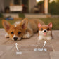 ✨ Time‑Limited Offer ⚡Cute Corgi Dog Poop Bag Dispenser For Pet Walks