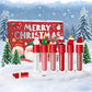💥Black Friday Sale 50% OFF🎁Christmas Waterproof Long-Lasting Lip Gloss Set💋