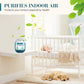 🌿BUY 2 GET 1 FREE✨ Automatic Dust Collector Box – Plant-Based Passive Air Purifier for a Cleaner Home