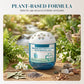 🌿BUY 2 GET 1 FREE✨ Automatic Dust Collector Box – Plant-Based Passive Air Purifier for a Cleaner Home