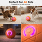 ⏳LAST DAY SALE 60% OFF !!🐾Auto Bouncing Smart Dog Ball with Remote Control | 3 Play Modes, Chew Resistant E-TPU LED Glowing Interactive Dog Toy, USB-C Rechargeable🎾