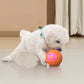 ⏳LAST DAY SALE 60% OFF !!🐾Auto Bouncing Smart Dog Ball with Remote Control | 3 Play Modes, Chew Resistant E-TPU LED Glowing Interactive Dog Toy, USB-C Rechargeable🎾