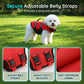 High Buoyancy Dog Life Jacket