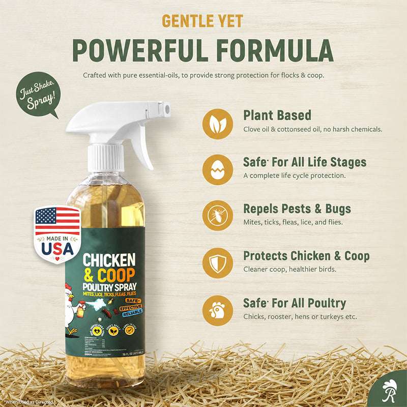 🔥 Buy 2 Get 1 FREE (Save 50%) – 🐔Botanical Poultry Coop Cleaner Spray | 🌿Lemongrass & Peppermint, Repels Flies & Mites, Safe for Birds & Housing