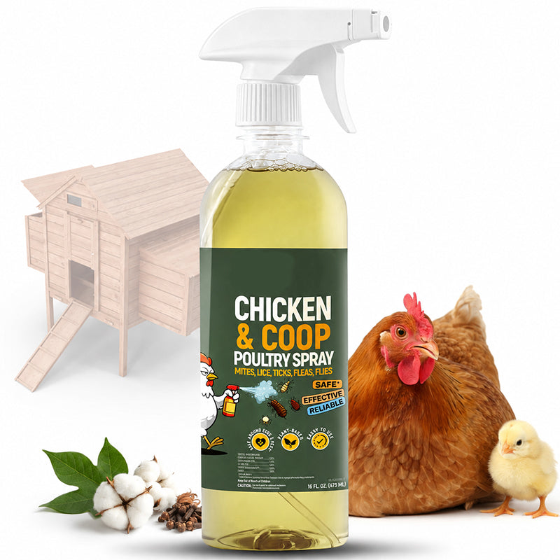 🔥 Buy 2 Get 1 FREE (Save 50%) – 🐔Botanical Poultry Coop Cleaner Spray | 🌿Lemongrass & Peppermint, Repels Flies & Mites, Safe for Birds & Housing