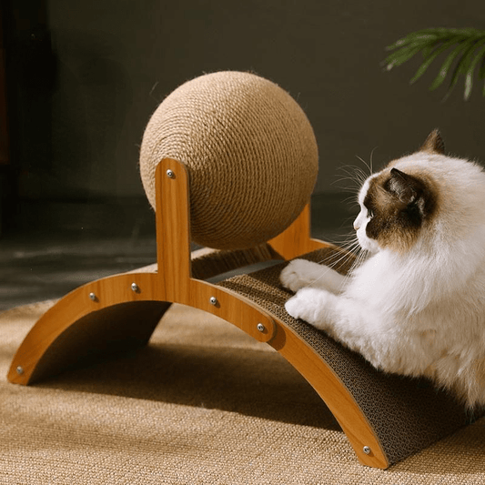 💻 Online-Only Deal 🔥2-in-1 Cat Scratcher Ball – Durable Sisal & Cardboard Scratching Toy for Indoor Cats