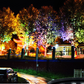 📢📢49% OFF !! ⏰IP65 Waterproof Outdoor Ring Tree Light