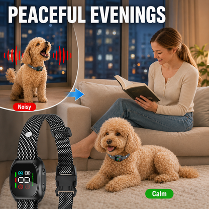 🌐 Online Exclusive 💎Smart Anti-Bark Collar for Dogs – Automatic Bark Control & Training Device