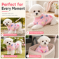🐾70% OFF Web Clearance🛁Super Absorbent Pet Harness – Quick-Dry Dog Towel Coat for Warmth & Comfort