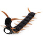 🎃 Spooky Halloween Cat Costume – 🐈 Centipede-Inspired Creepy Pet Outfit
