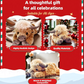 🔥Hot Sale 49% Off🎁Cute Cartoon Highland Cow Cuddly Toy